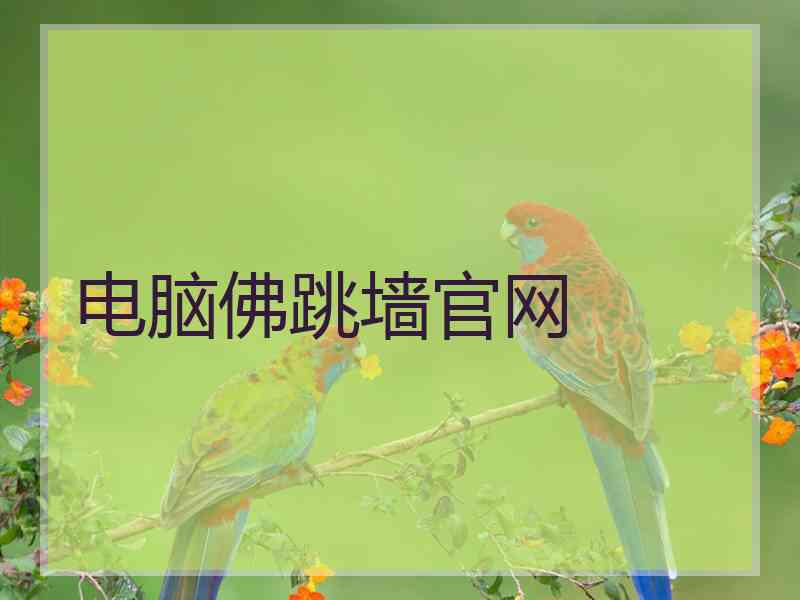 电脑佛跳墙官网