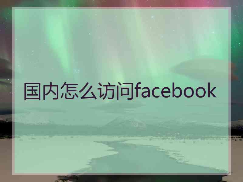 国内怎么访问facebook