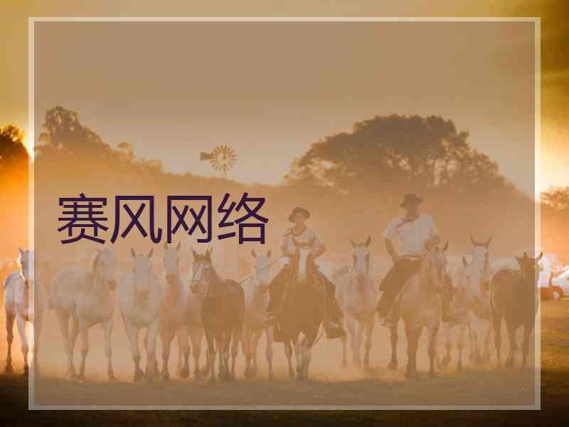 赛风网络