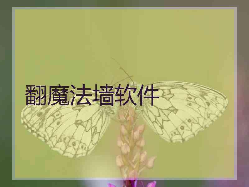 翻魔法墙软件