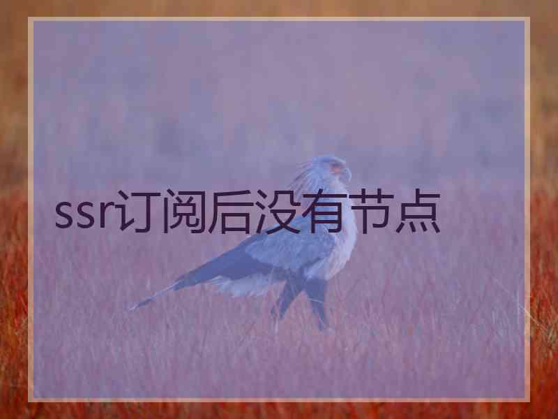 ssr订阅后没有节点