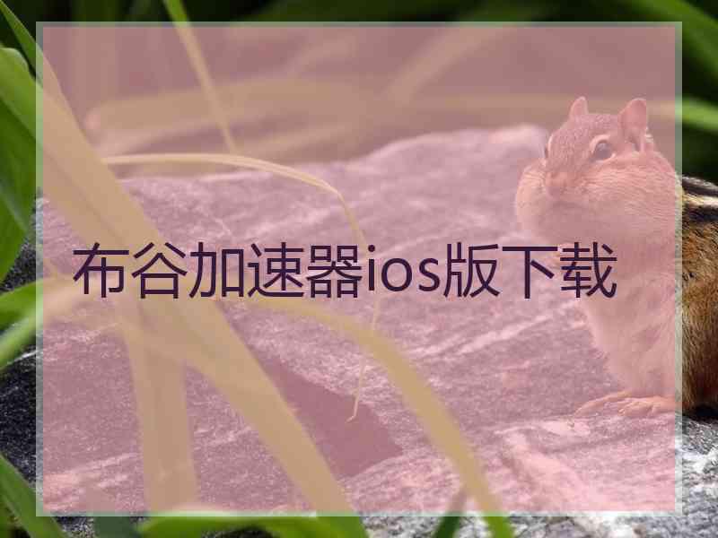 布谷加速器ios版下载