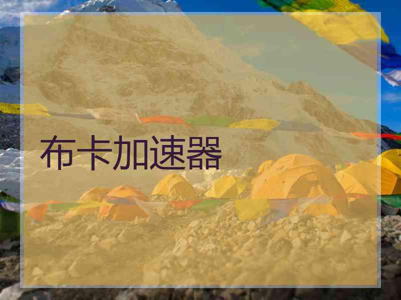 布卡加速器