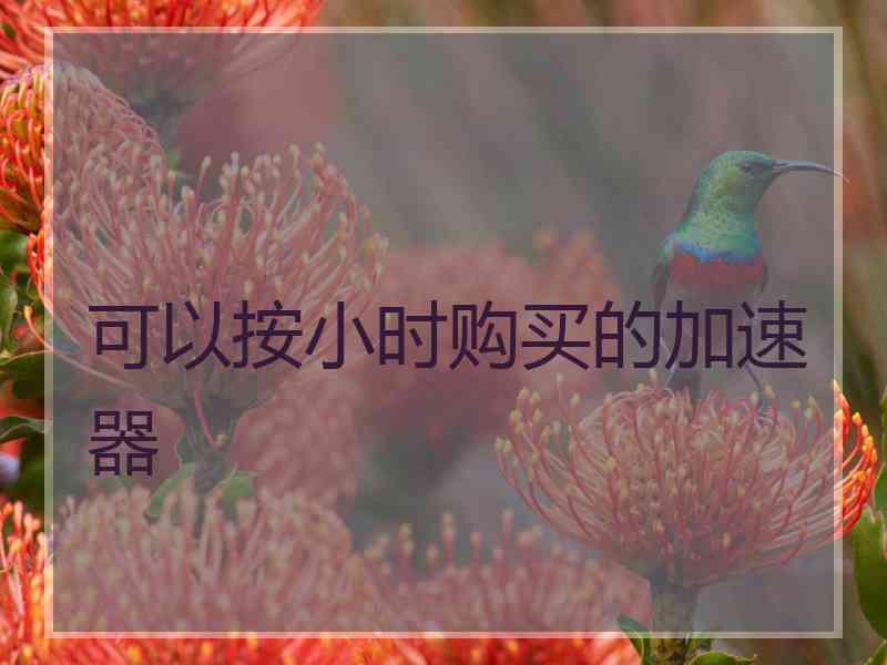可以按小时购买的加速器