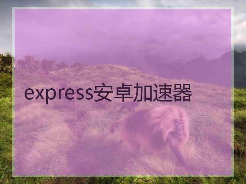 express安卓加速器