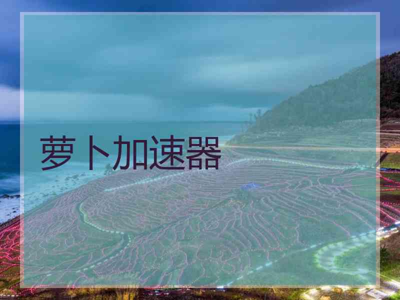 萝卜加速器