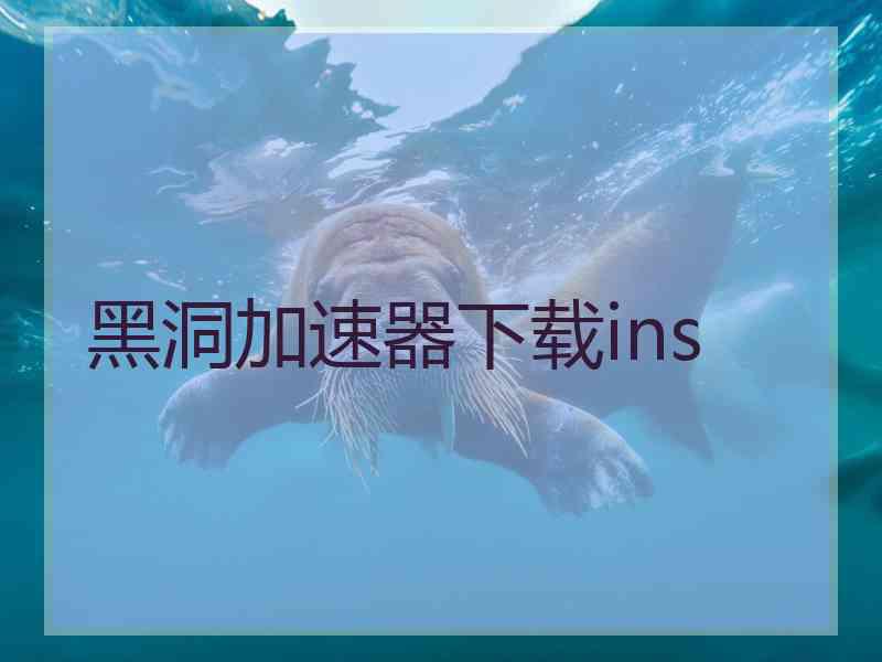 黑洞加速器下载ins