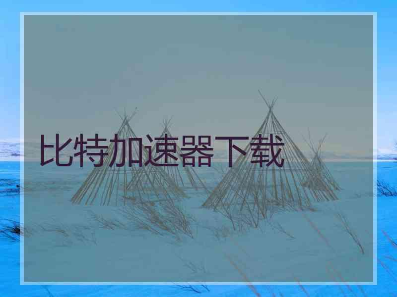 比特加速器下载