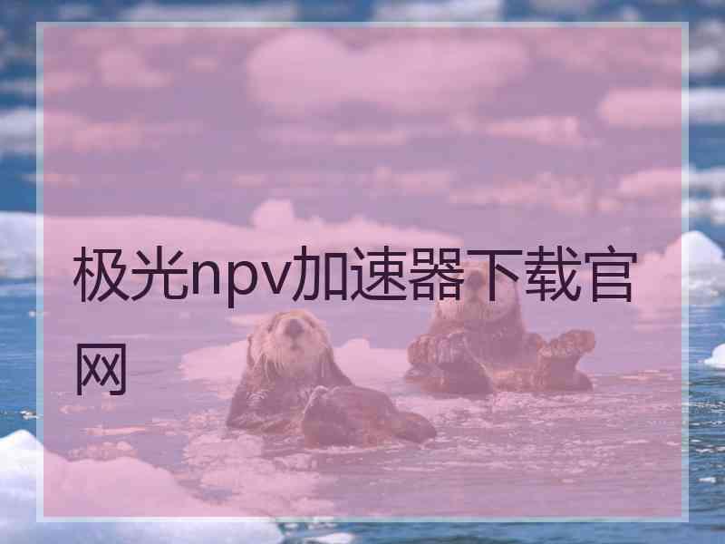 极光npv加速器下载官网