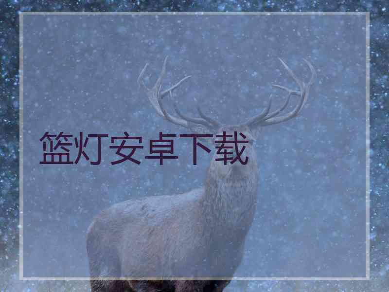篮灯安卓下载