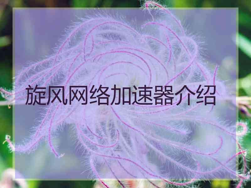 旋风网络加速器介绍