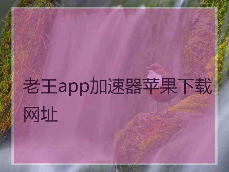 老王app加速器苹果下载网址