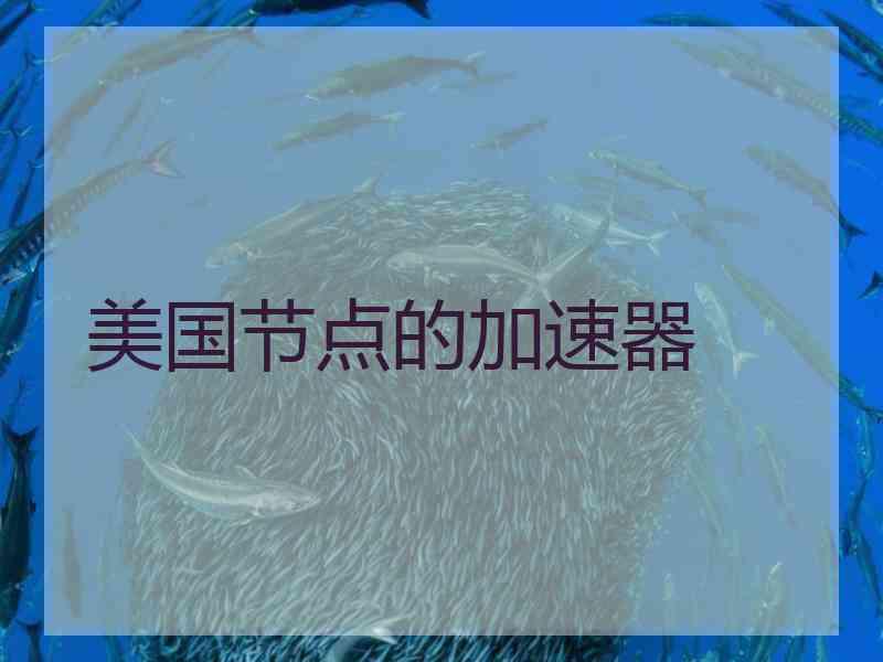美国节点的加速器