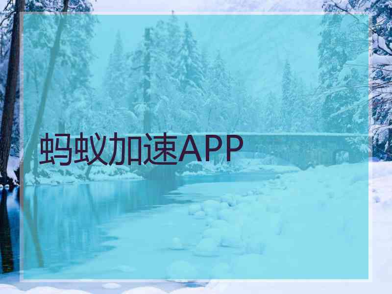 蚂蚁加速APP