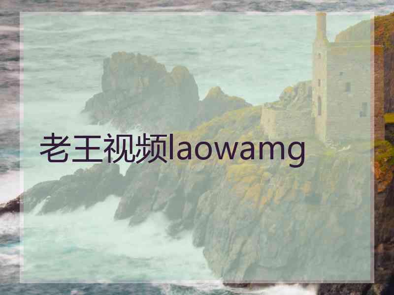 老王视频laowamg