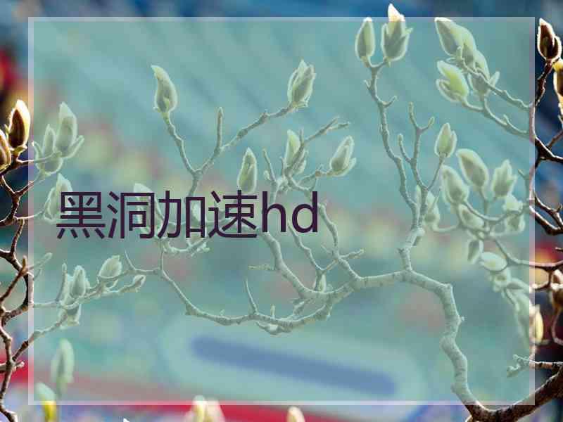 黑洞加速hd