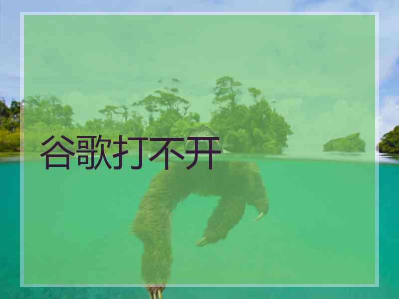 谷歌打不开