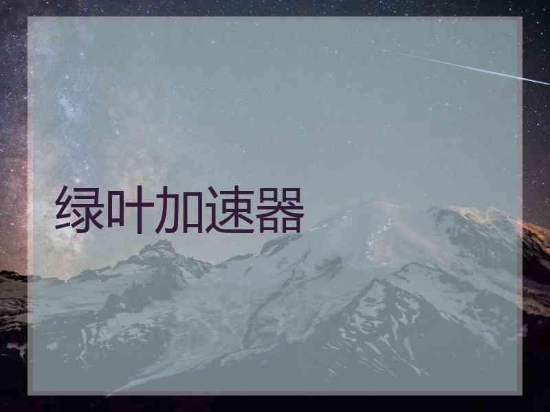 绿叶加速器