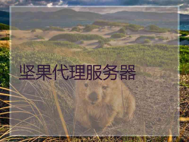 坚果代理服务器
