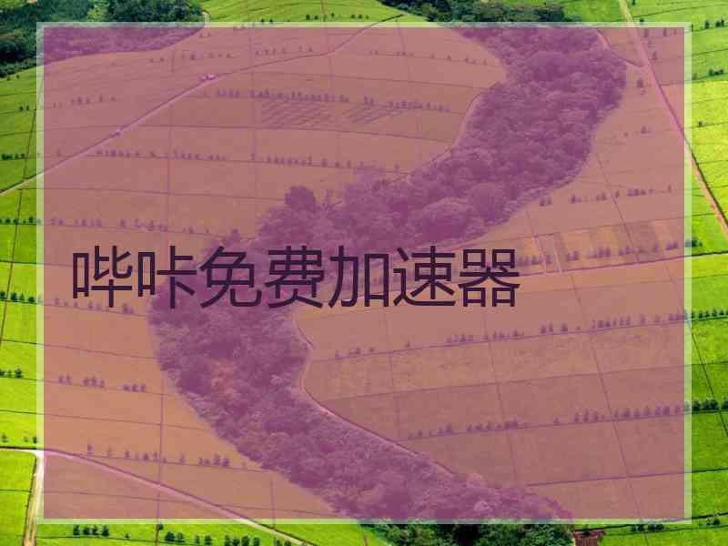 哔咔免费加速器