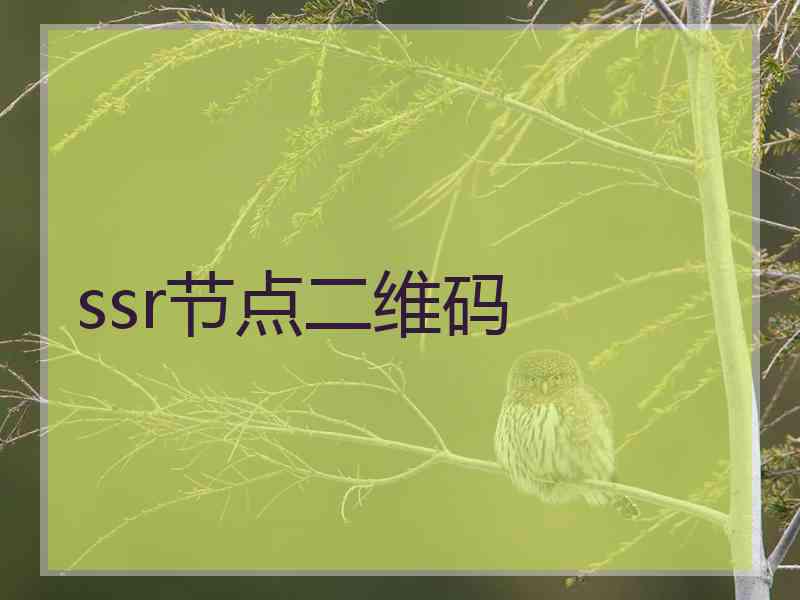 ssr节点二维码