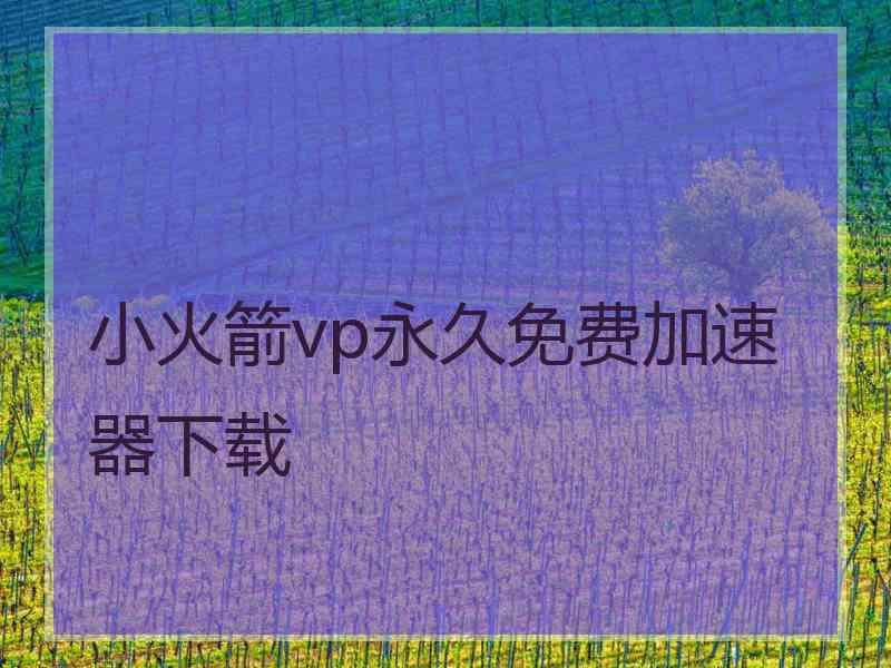小火箭vp永久免费加速器下载
