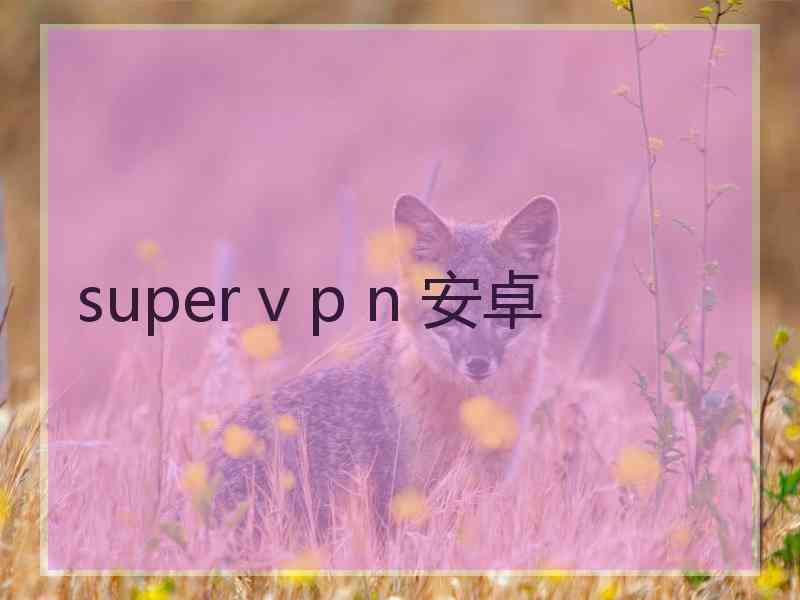 super v p n 安卓
