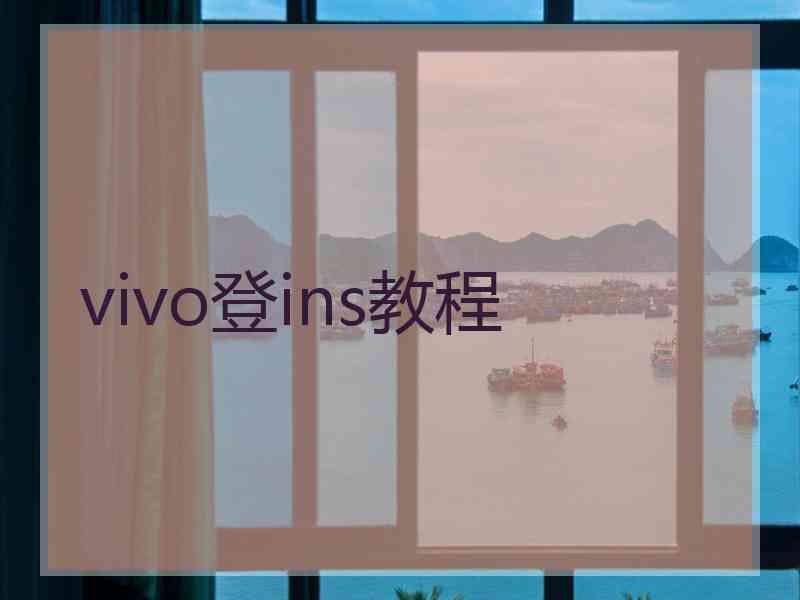 vivo登ins教程