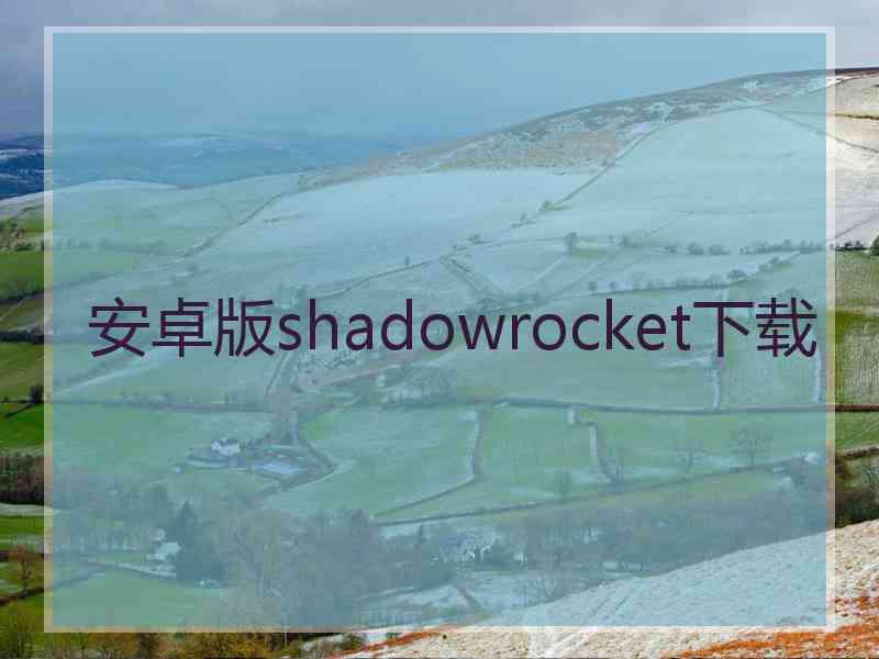 安卓版shadowrocket下载