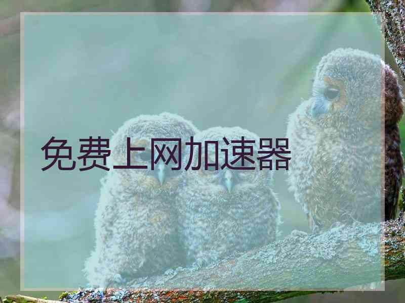 免费上网加速器