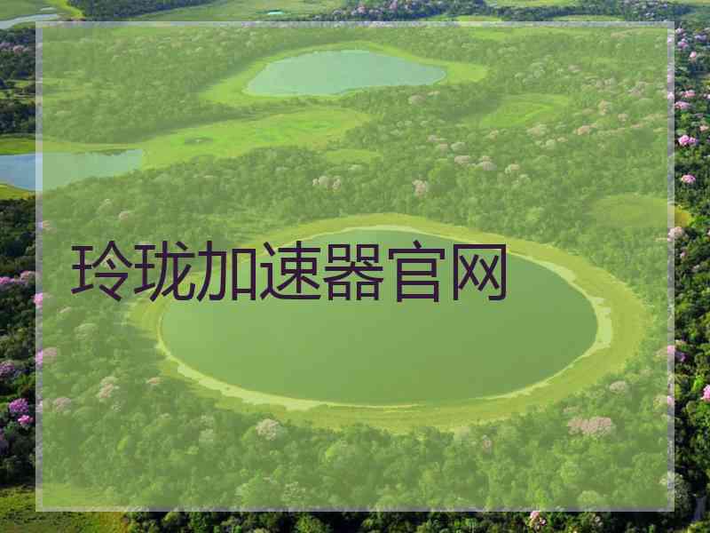 玲珑加速器官网