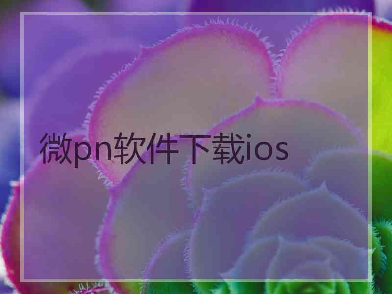 微pn软件下载ios