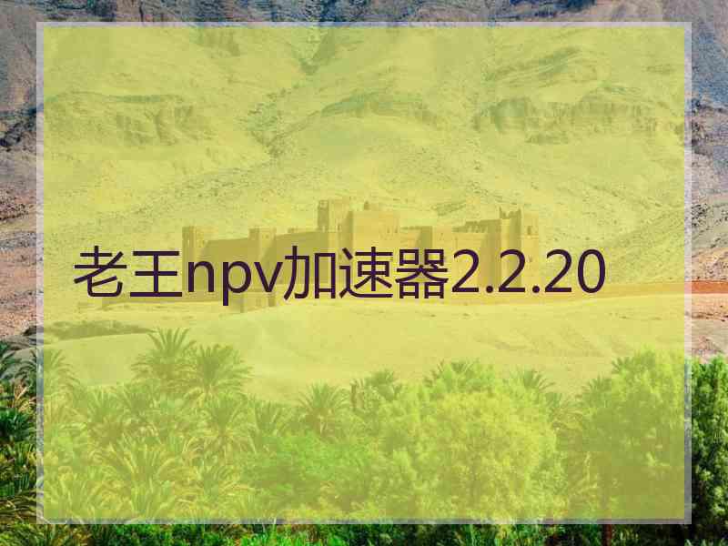 老王npv加速器2.2.20
