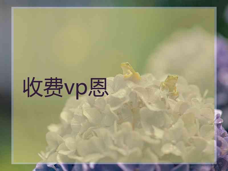 收费vp恩
