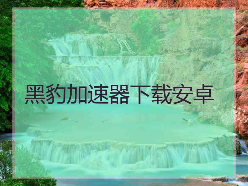 黑豹加速器下载安卓