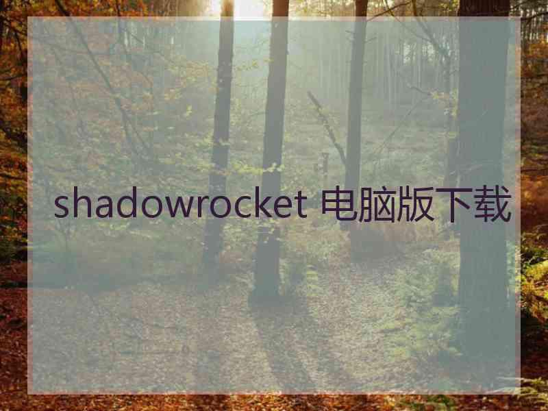 shadowrocket 电脑版下载