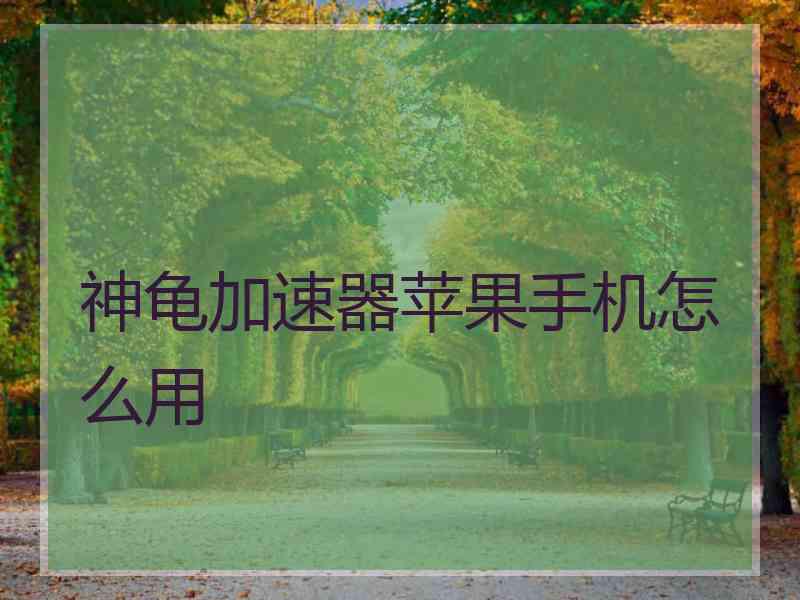 神龟加速器苹果手机怎么用