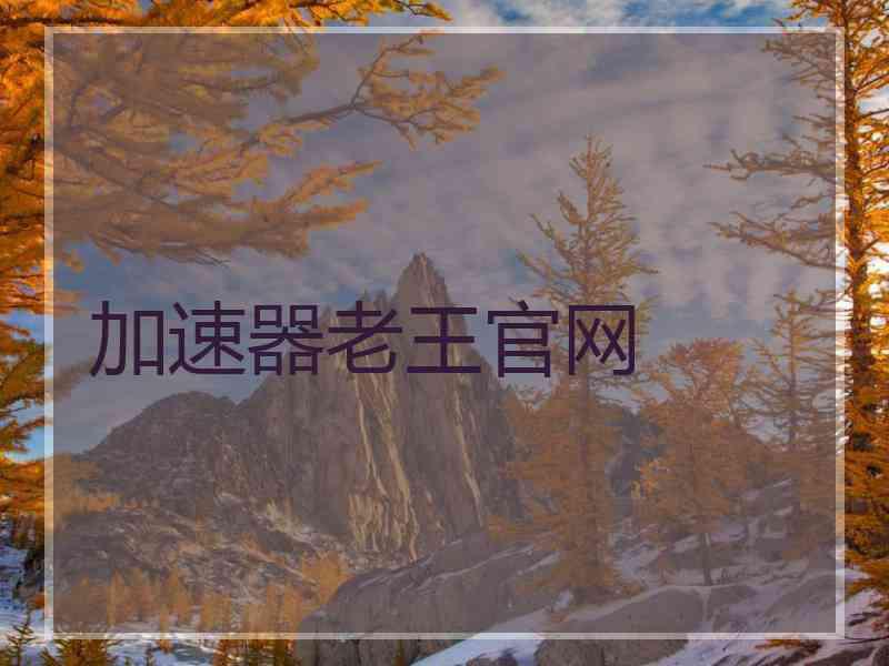 加速器老王官网