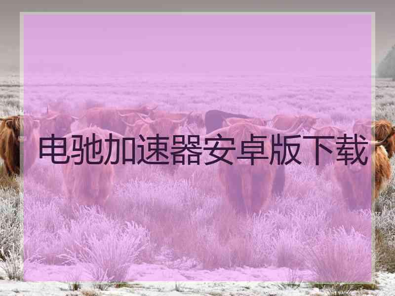 电驰加速器安卓版下载