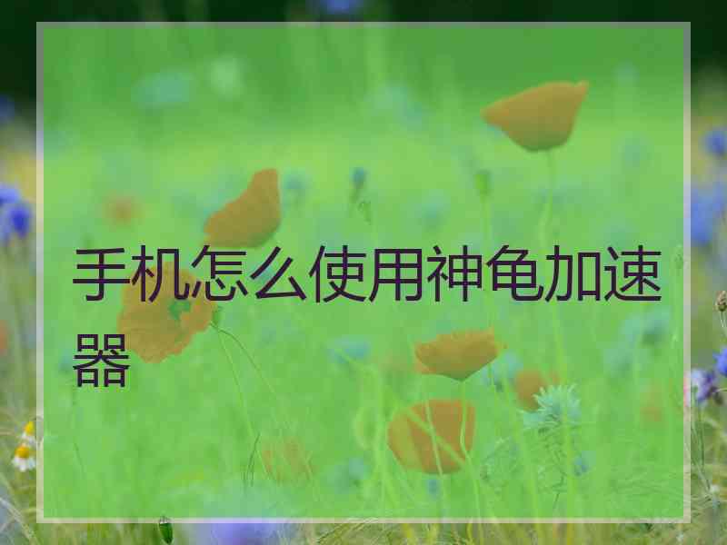 手机怎么使用神龟加速器