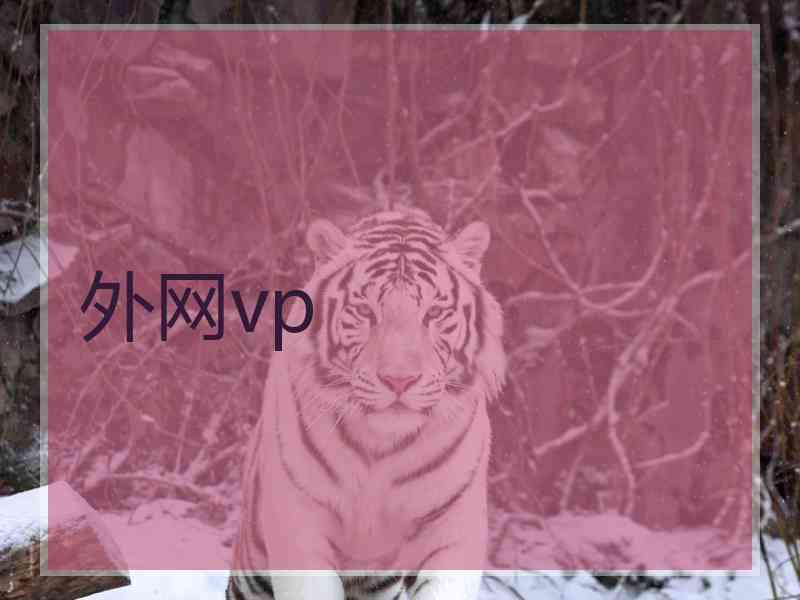 外网vp