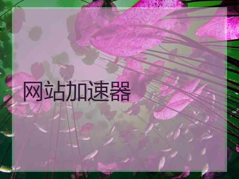 网站加速器