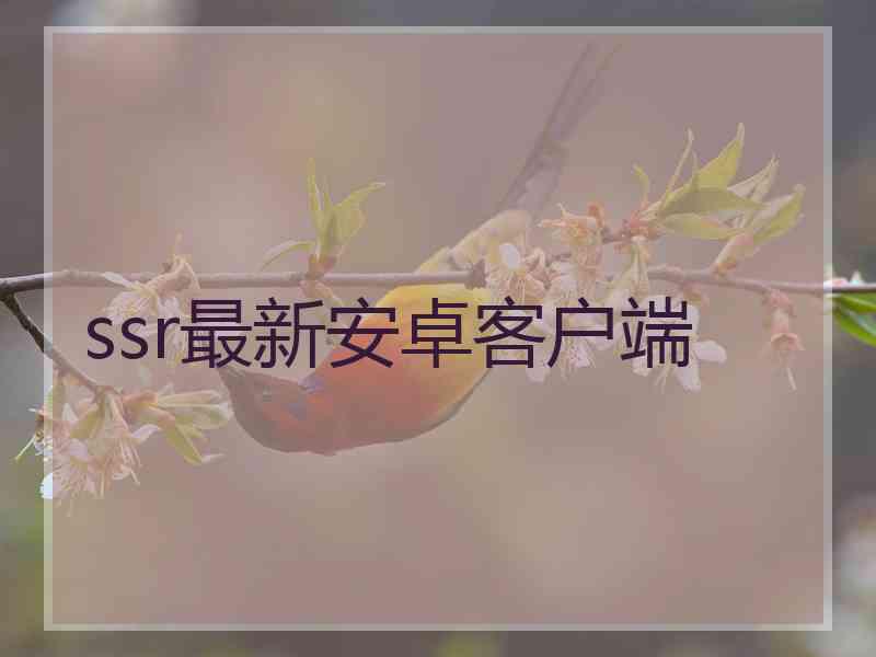 ssr最新安卓客户端