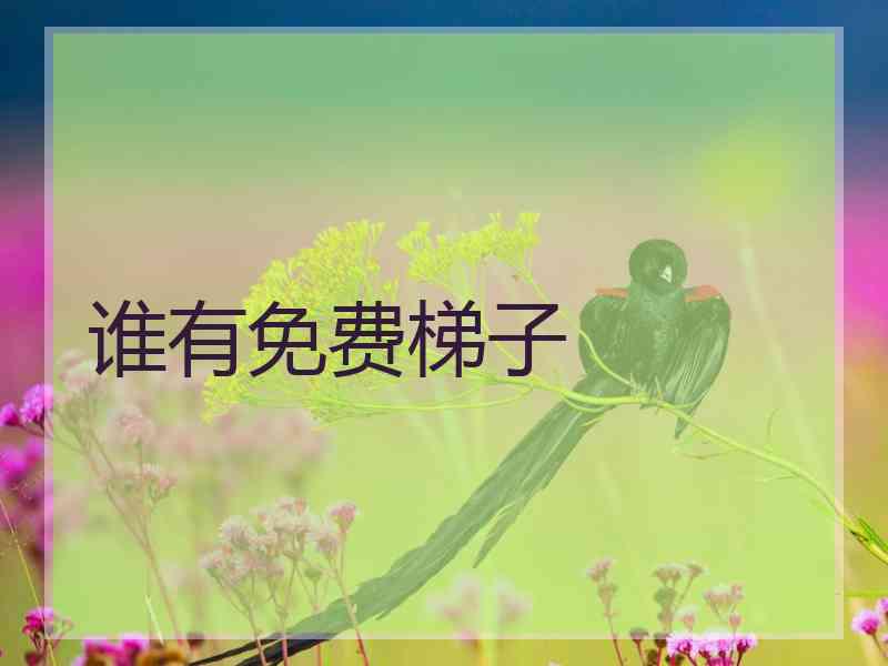 谁有免费梯子