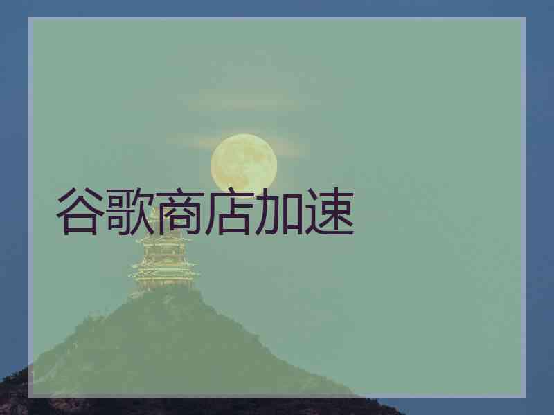 谷歌商店加速