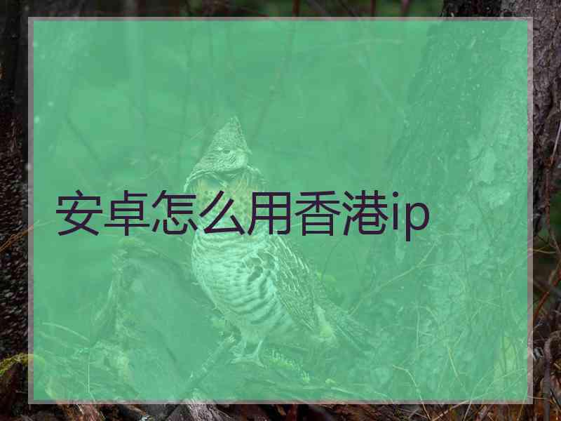 安卓怎么用香港ip