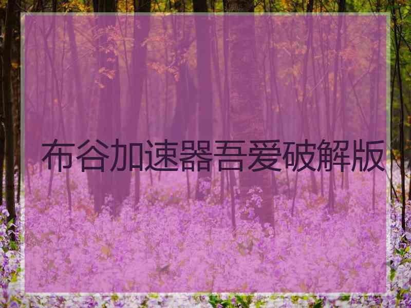布谷加速器吾爱破解版