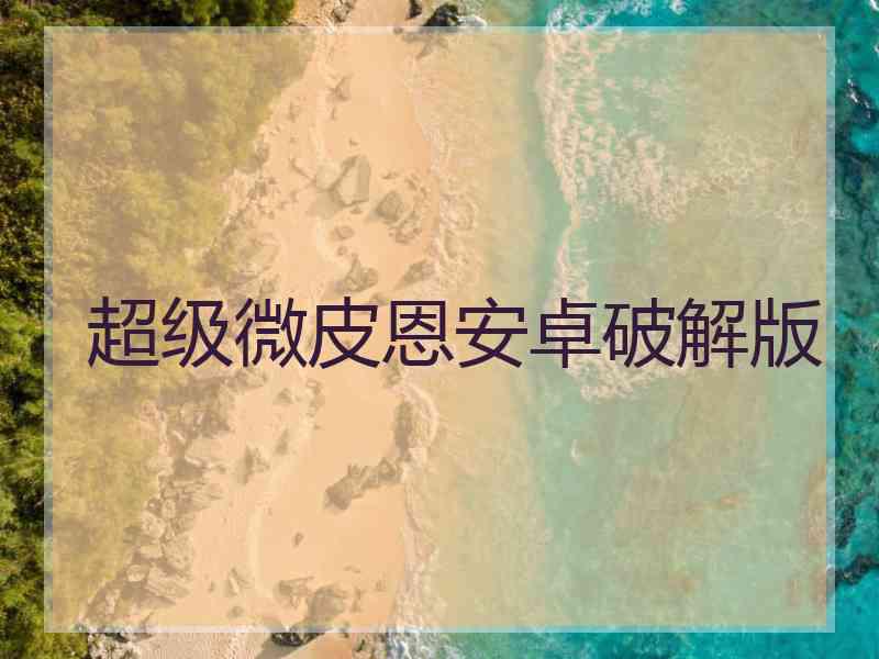 超级微皮恩安卓破解版