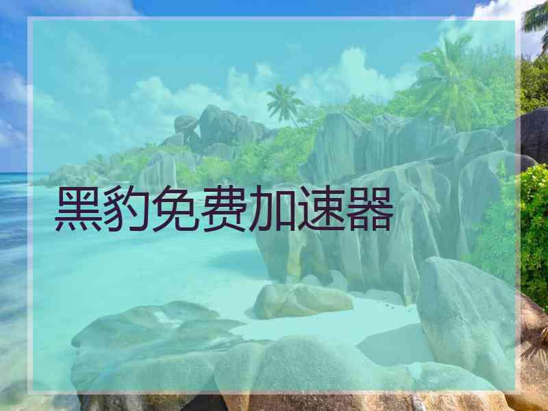 黑豹免费加速器