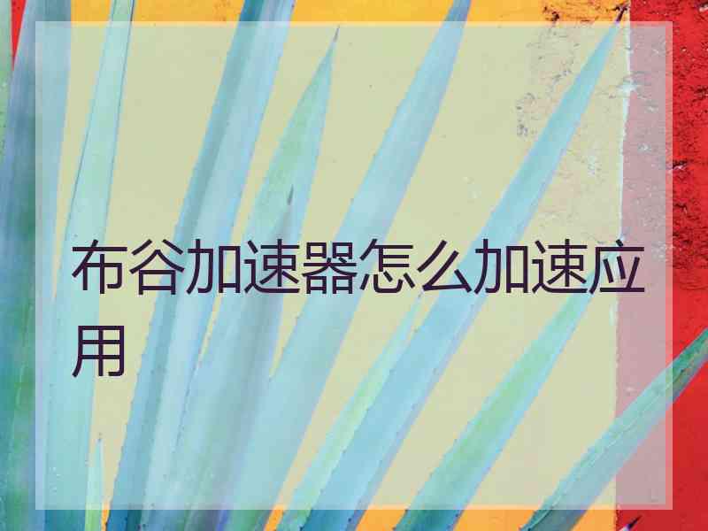 布谷加速器怎么加速应用